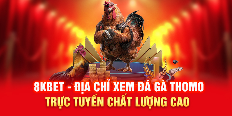 Giao diện live stream đá gà Thomo với chất lượng hình ảnh và âm thanh sắc nét.